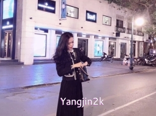 Yangjin2k