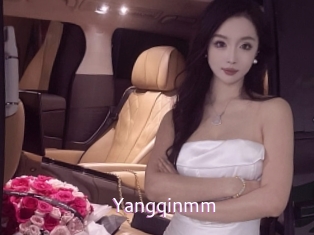 Yangqinmm