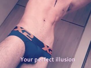 Your_perfect_illusion
