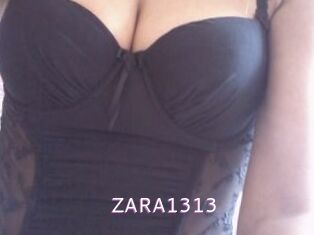 ZARA1313