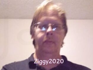 Ziggy2020 Just Amateurs