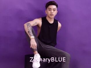 zacharyBLUE Just Amateurs