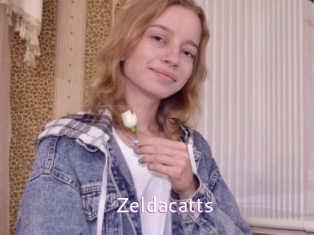 Zeldacatts
