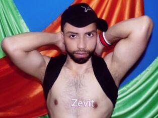 Zevit