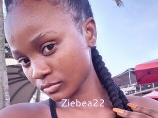 Ziebea22