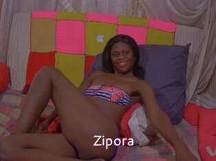 zipora Just Amateurs