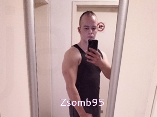 Zsomb95